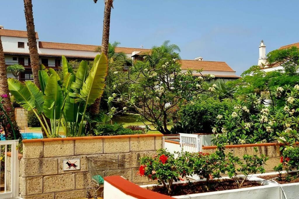 Flordetajinaste Apartment Puerto de la Cruz  Exterior photo